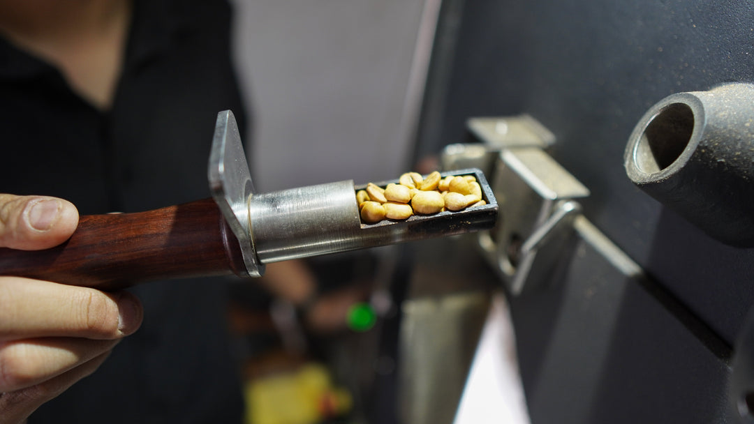 Coffee Grinder Buying Guide: Find the Right Grinder for Every Brew
