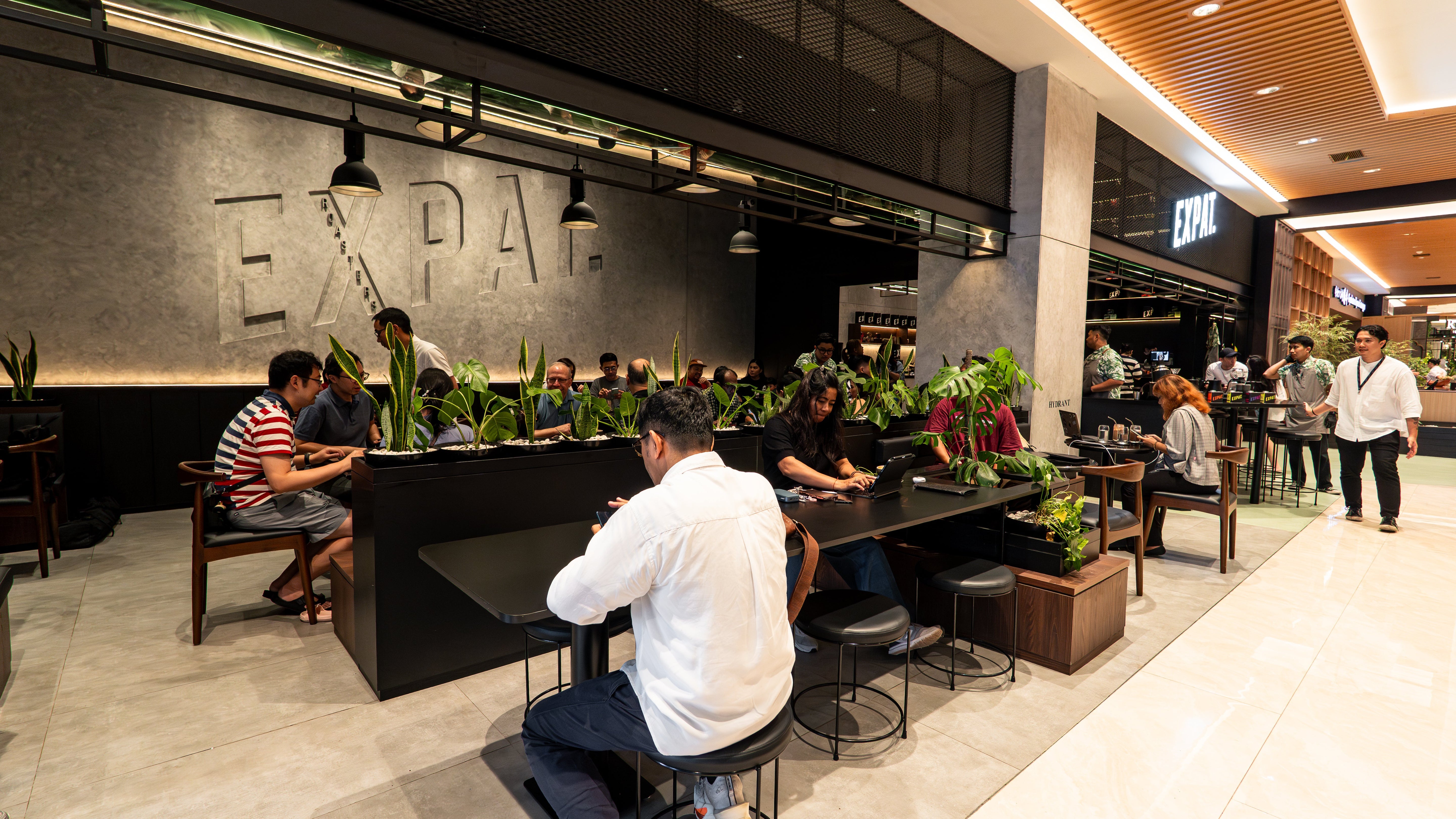 Expat. Roasters Tren Konsumsi Kopi di Indonesia | Specialty Coffee Bali