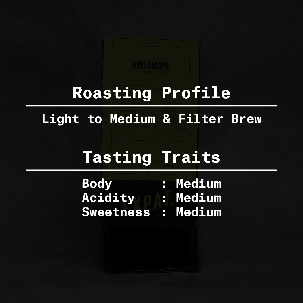Coffee Beans Kintamani Honey Filter Roast | Bag 1Kg