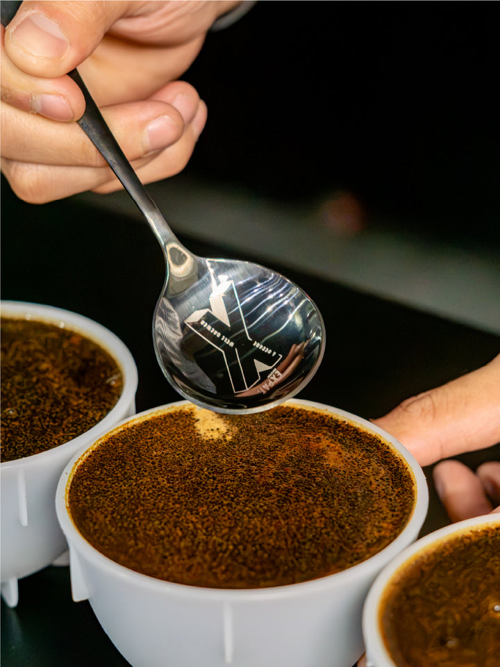 Expat. Roasters 10th Anniversary Special Cupping Spoon Set